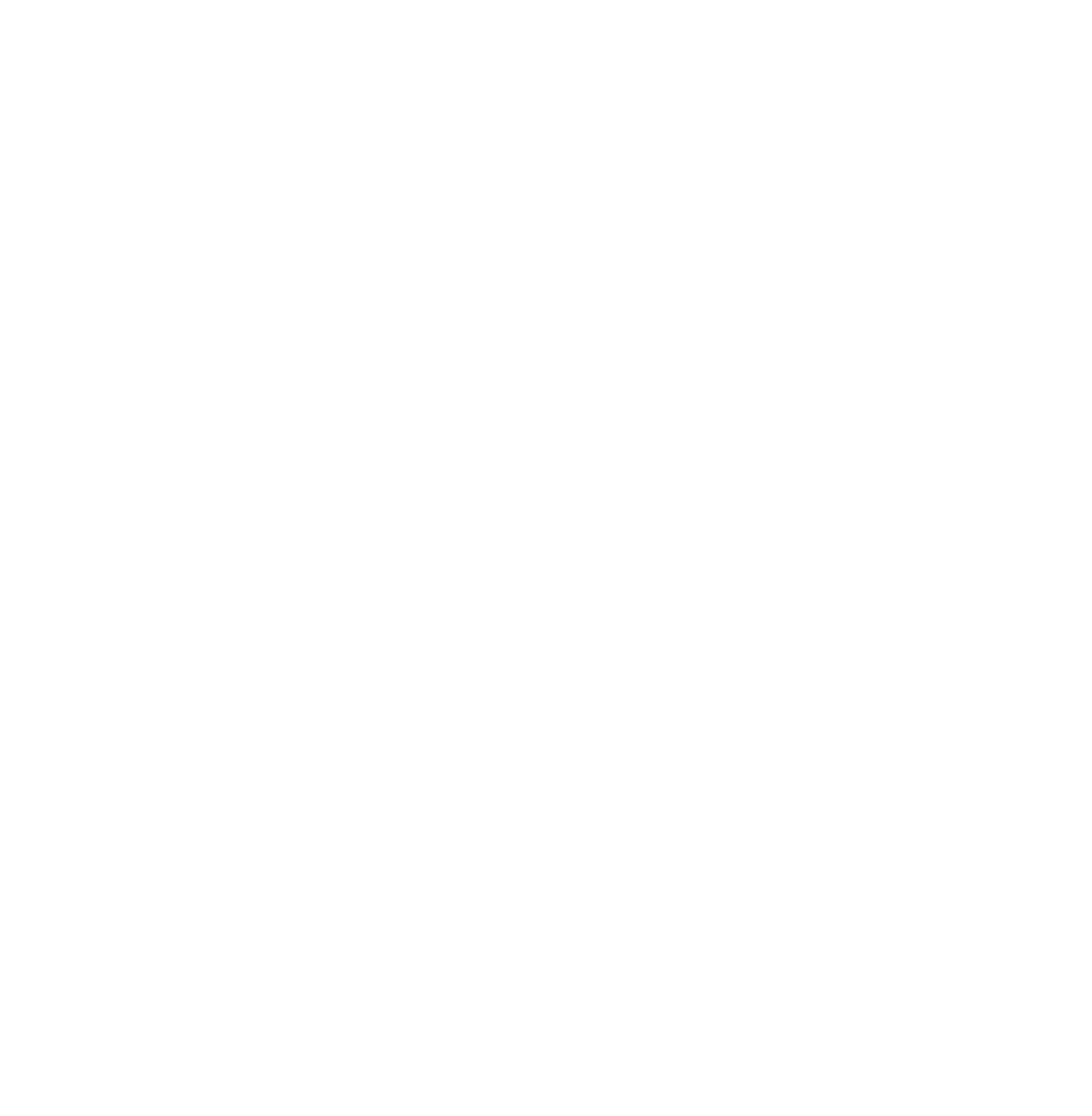 Logo White